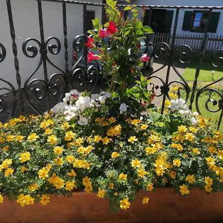 Fewo Steckenbergblick/gastecard * أونتر أمركاو